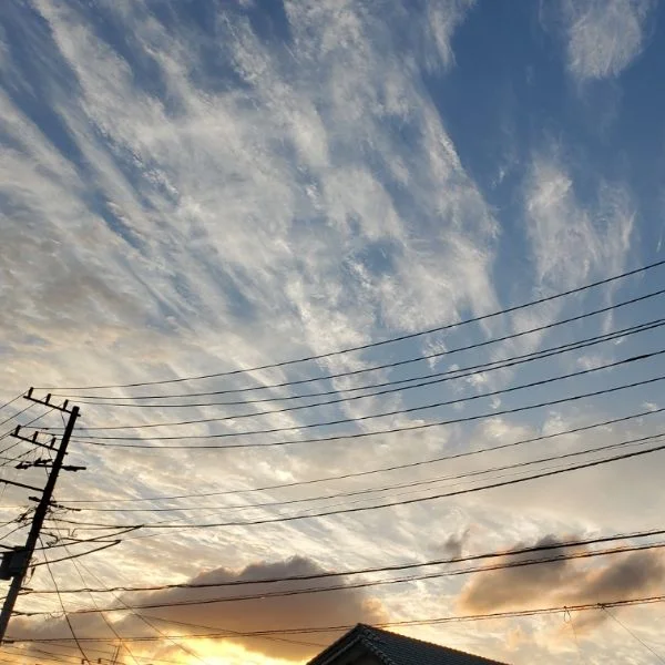 ありがとう❤️