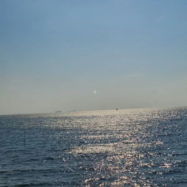 海