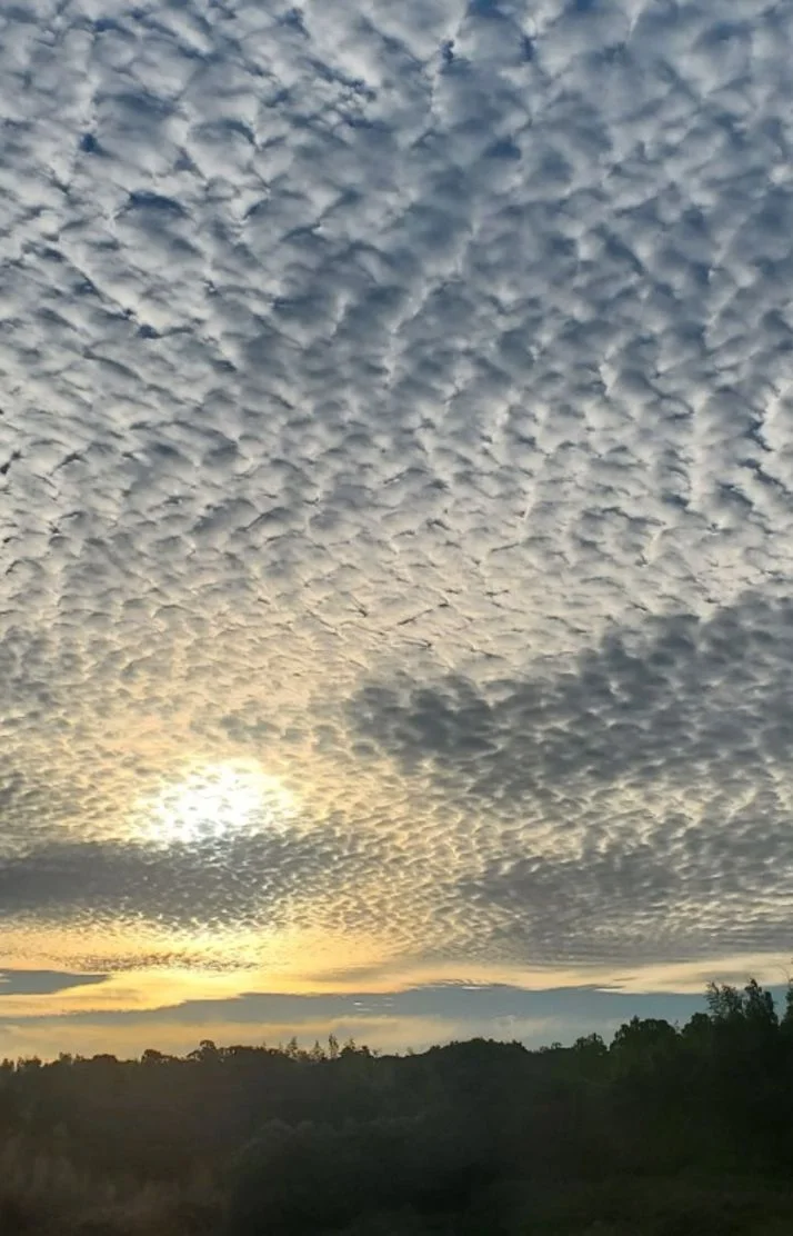 🌾秋空