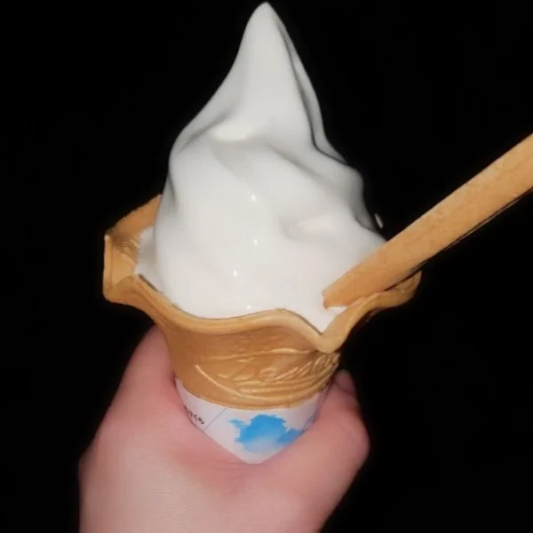 夜のお散歩