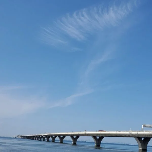 🌿お知らせ