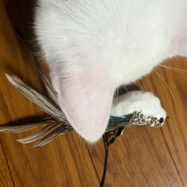 先日はありがとうございましたー！