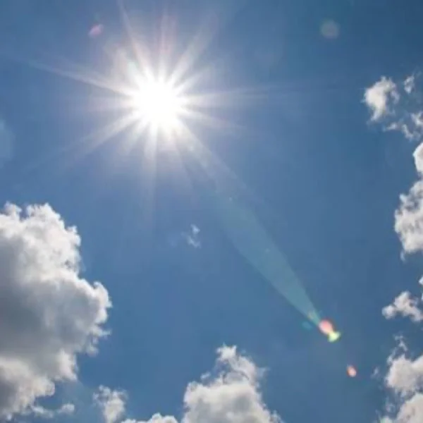 おはようございます🔆。°
