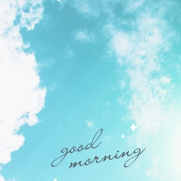 おはようございます☀️｡°