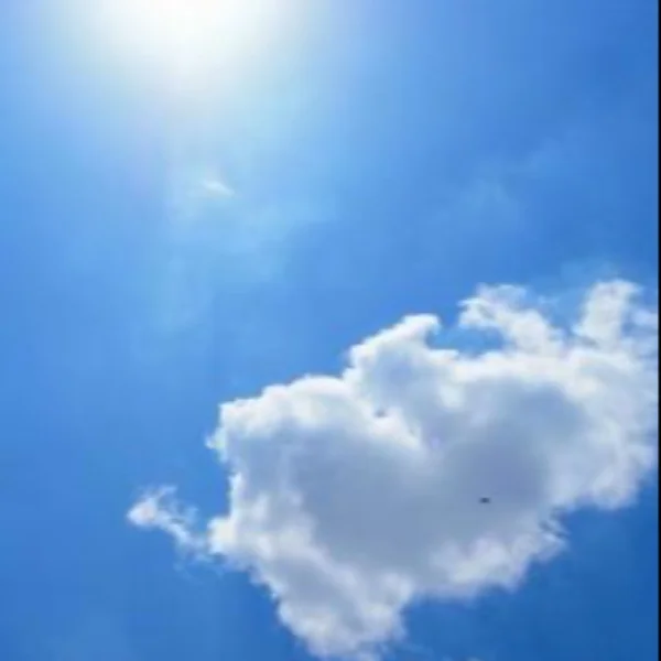 おはようございます!