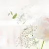 選ばれるお店には理由があるのサムネイル