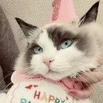 採用担当のオーナーさん