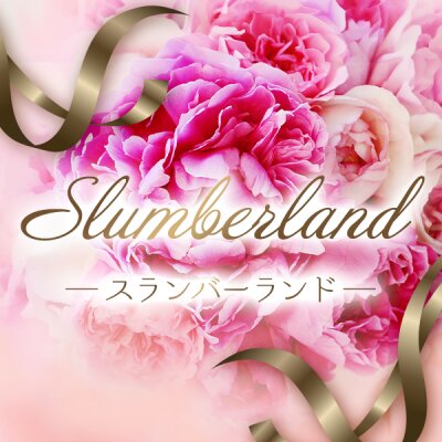 スランバーランド丸亀のメッセージ用アイコン