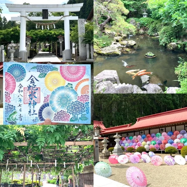 本日ガチャの日🎡4名様🈵ありがとうございました🐣💕