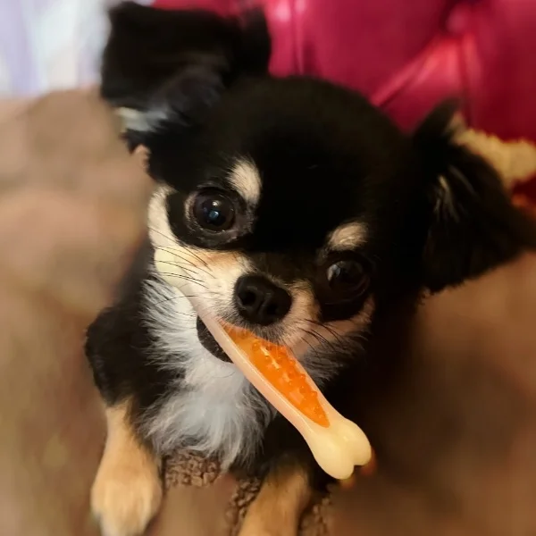 本日は４名様🈵ありがとうございました🐿️💕