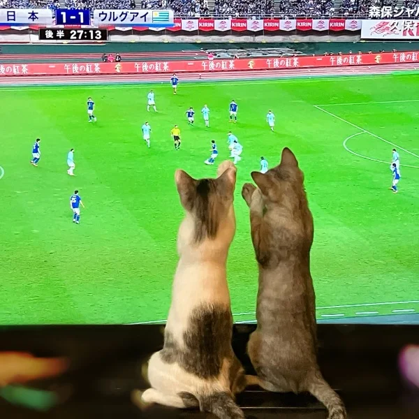 本日は４名様🈵ありがとうございました🐹💕