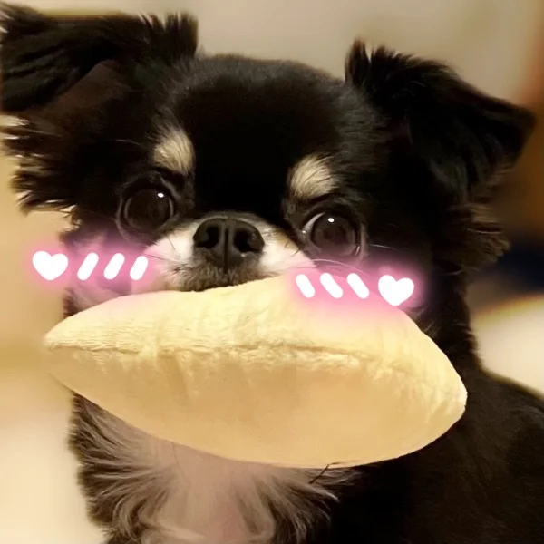 本日は４名様🈵ありがとうございました🐰💕