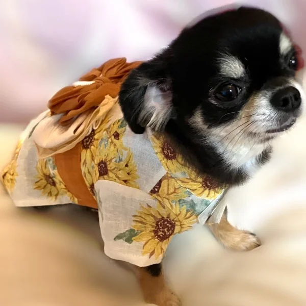 本日は５名様🈵ありがとうございました😻✨