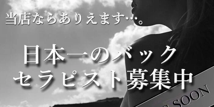 恵比寿・中目黒ミネルバの求人募集イメージ