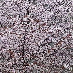ＳＴＩＬＴＥ長崎・大村・佐世保