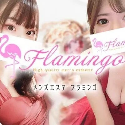 Flamingo～フラミンゴ～