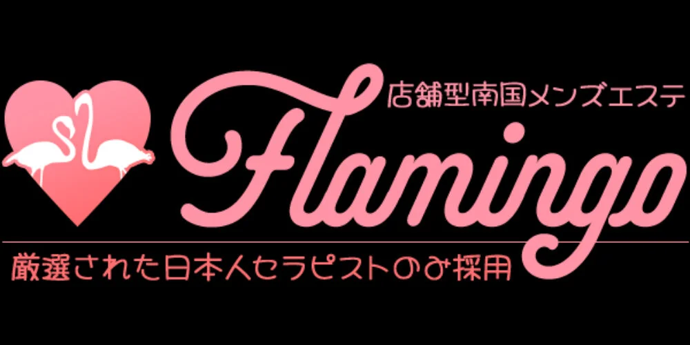 Flamingo～フラミンゴ～のカバー画像