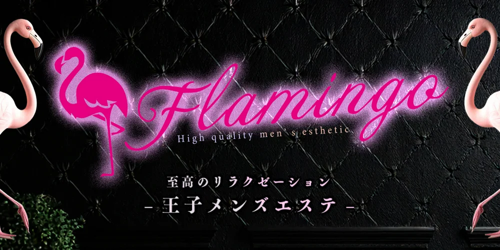 Flamingo~フラミンゴ~のカバー画像