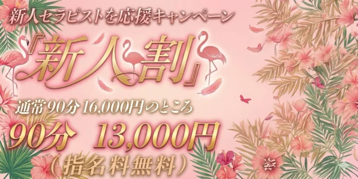 Flamingo～フラミンゴ～