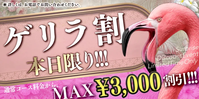 Flamingo～フラミンゴ～