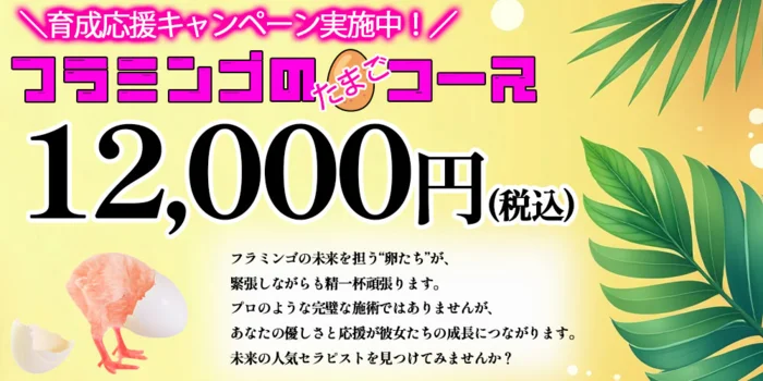 Flamingo～フラミンゴ～
