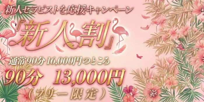 Flamingo～フラミンゴ～