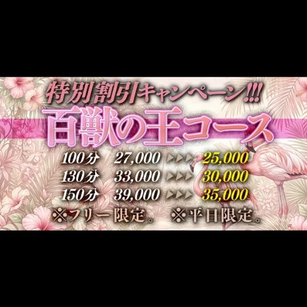5月のキャンペーン