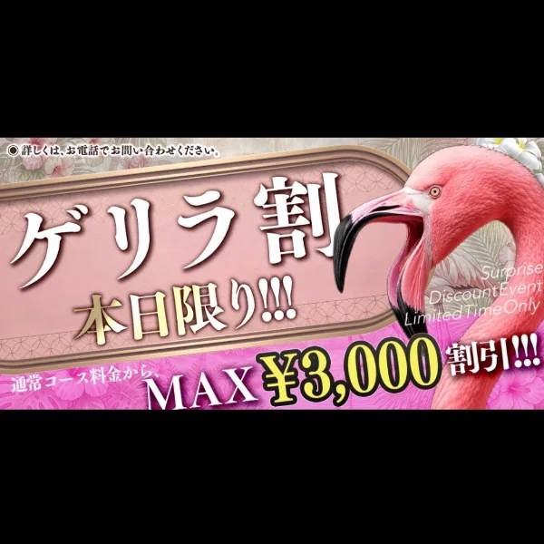 本日限定…‼️見逃さないで… ‼️