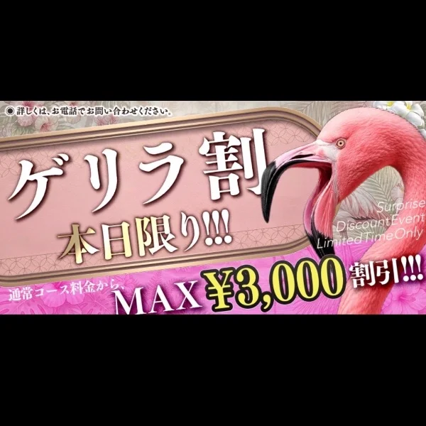 ゲリラ！