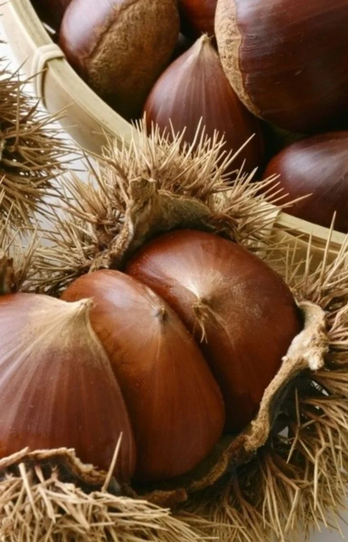 イメチェン🩷
