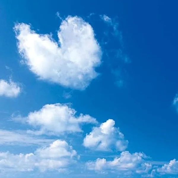 ハートの日❤️
