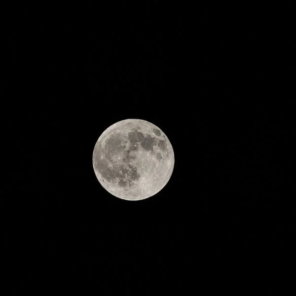 満月みれました🌕