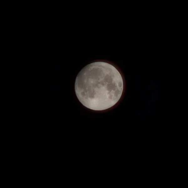 昨日は満月でしたね🌕