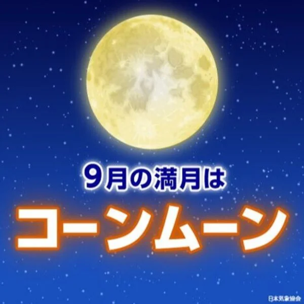 本日出勤します💕