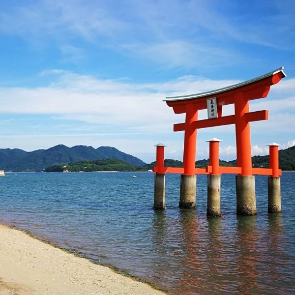 神社参拝運気アップ💕
