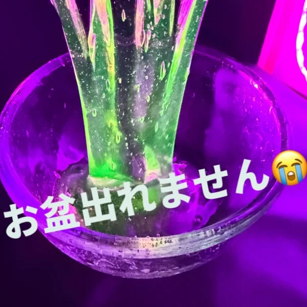 悲報😭