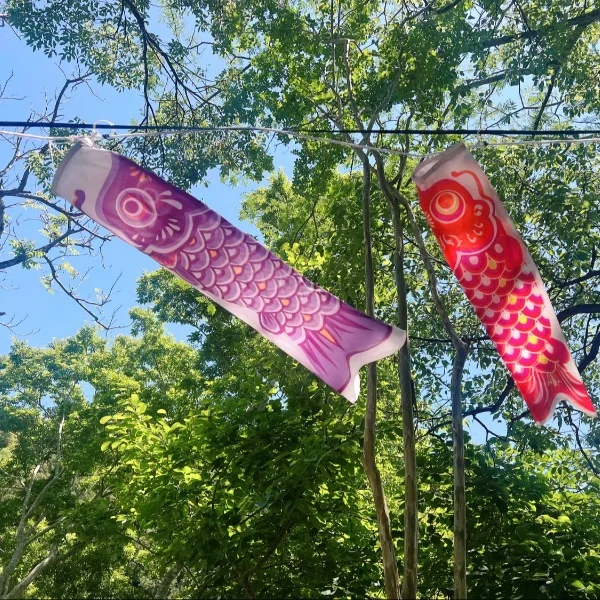 四季折々の風情🎏✨