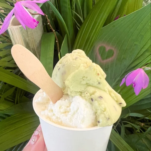 森林浴Day🌿💓
