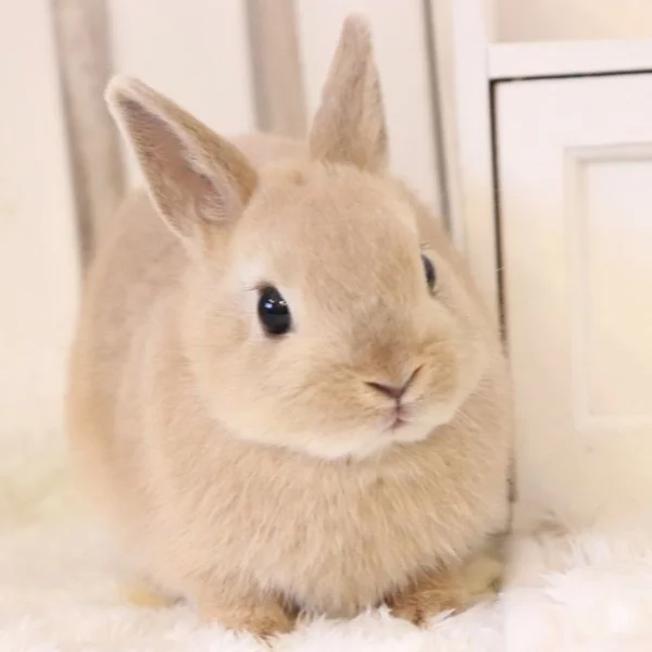 最近の悩みごと…🐰⸝⸝ ♡