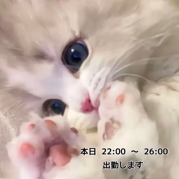 今日はどんなお兄様にあえるかなあ…💭💞