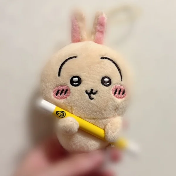 プチ自慢？🐰