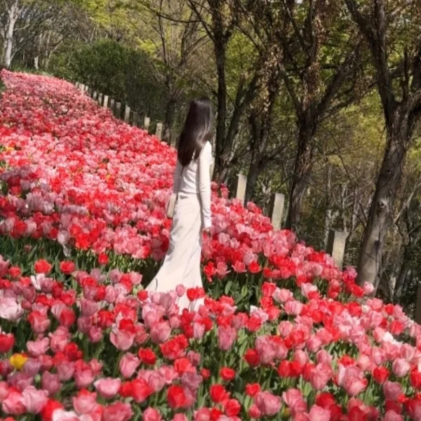 写メ日記始めました🌸