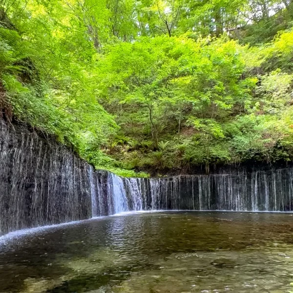 白糸の滝🌿