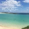只今積極的に採用中です☆☆☆めんそーれのサムネイル