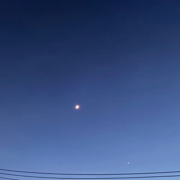 14日のお礼💌🕊