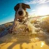 💛あなたが一番輝ける場所を提供します💛のサムネイル