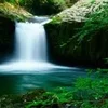 ★夢の出稼ぎプランもあります♪のサムネイル