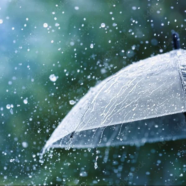 台風に気をつけてね…！🥺