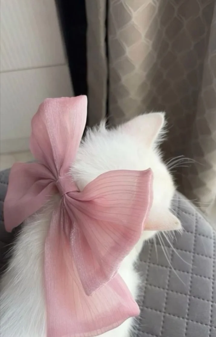 💌10/12.10/15
