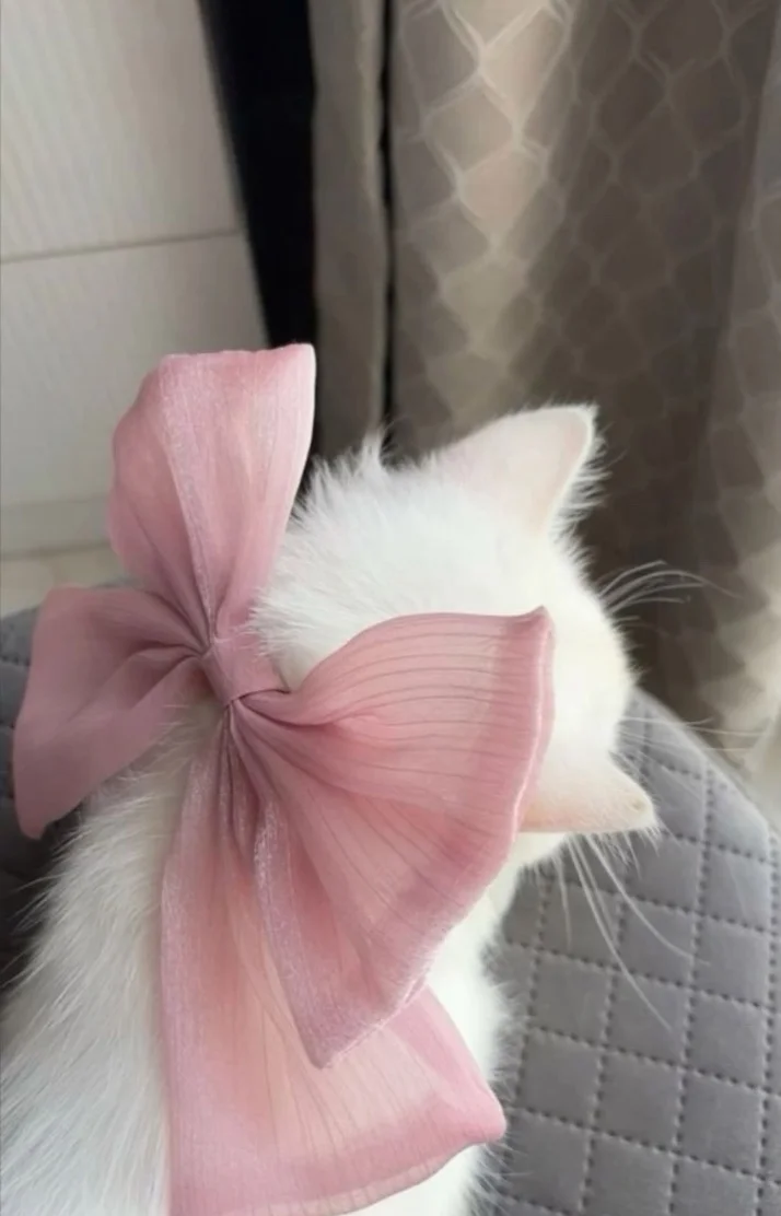 💌10/17